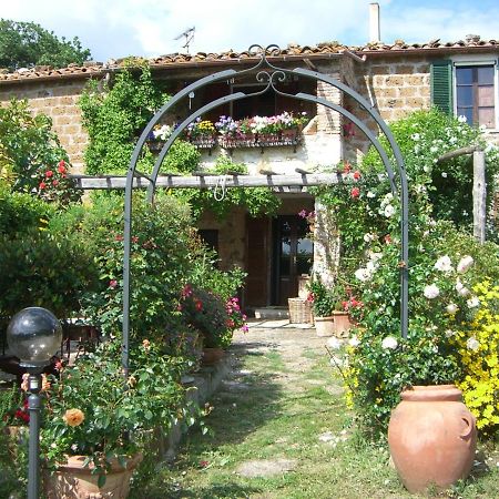 Le Querciolaie Monte Cavallo - Upper Apartment Saturnia Bagian luar foto