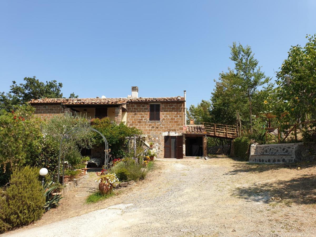 Le Querciolaie Monte Cavallo - Upper Apartment Saturnia Bagian luar foto